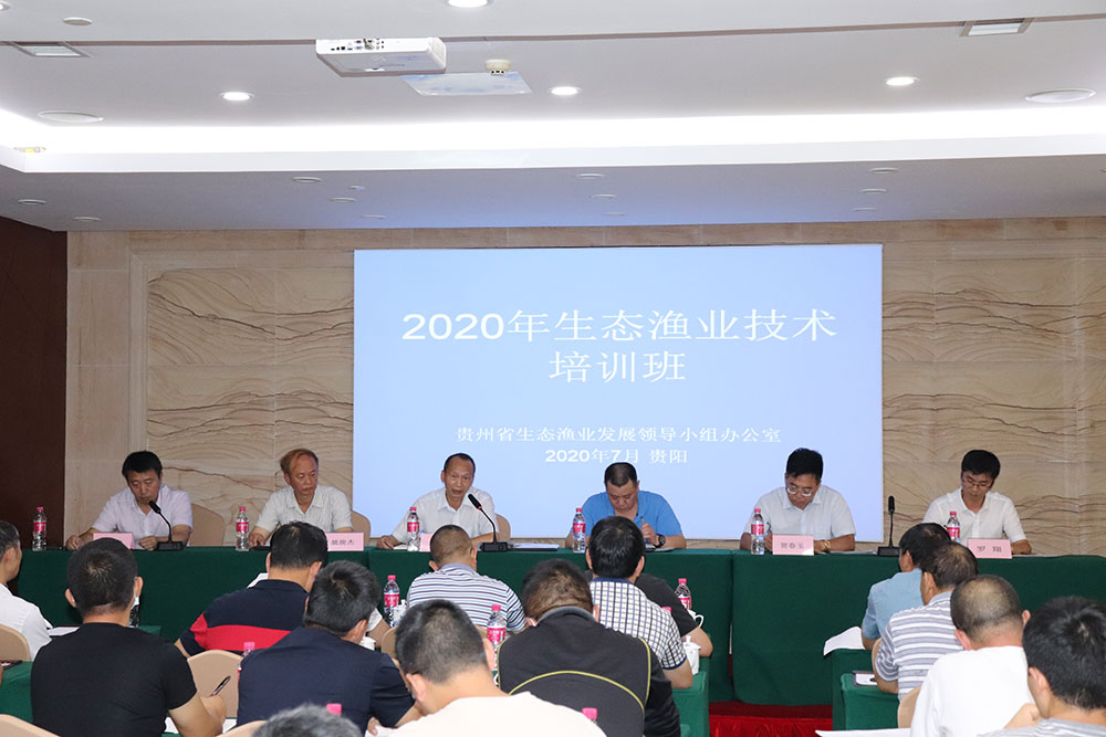 /shenhang_en/upload/images/2024/12/f52c184b3ffb3d5.jpg